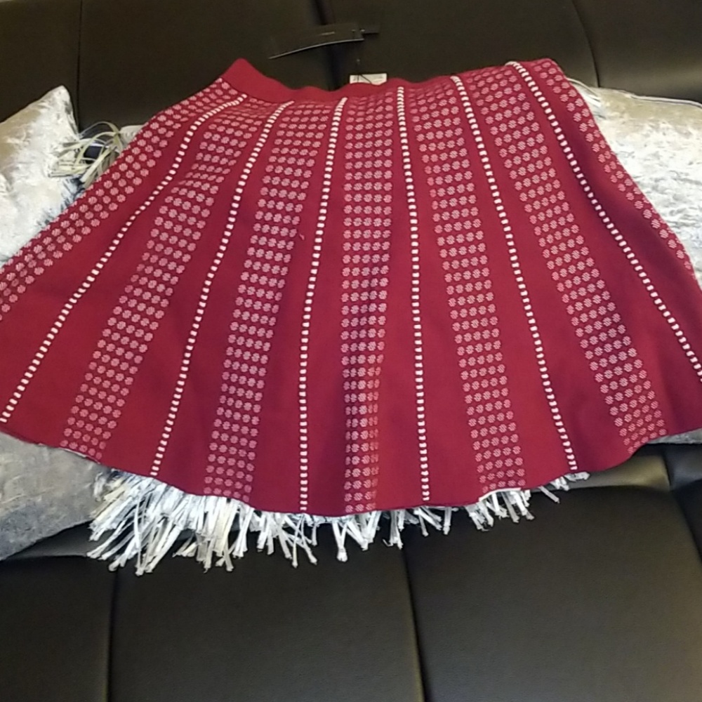 Cute chic BCBG "Yaz" stretchy skater skirt